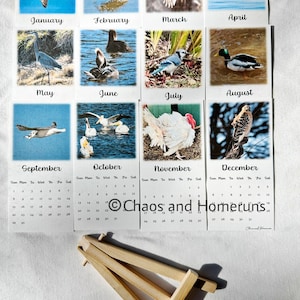 2024 Mini Bird Calendar