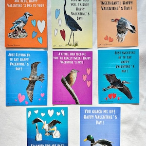 Set di biglietti di San Valentino con uccelli