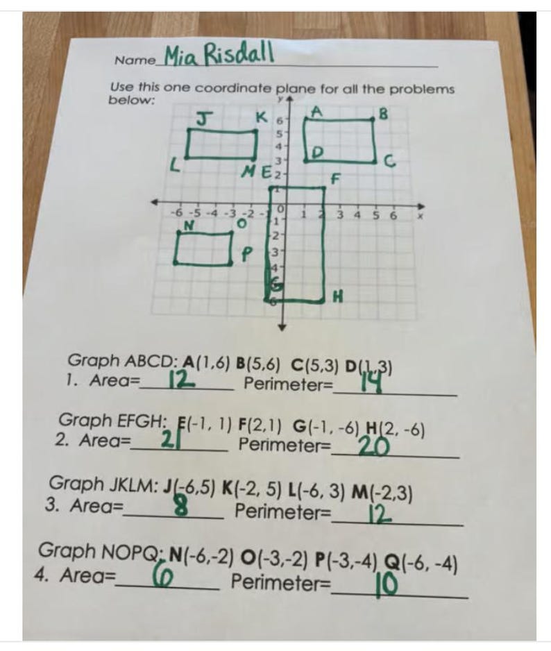 Area and Perimeter on a Coordinate Plane (RECTANGLES) - Etsy