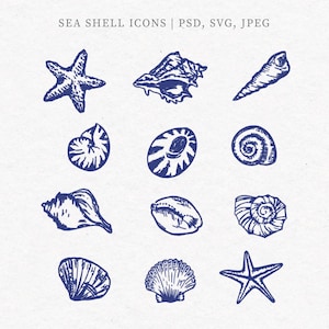 Imágenes prediseñadas de conchas, descarga digital de conchas marinas, paquete de ilustraciones, imágenes prediseñadas de playa dibujadas con líneas, descarga instantánea de arte