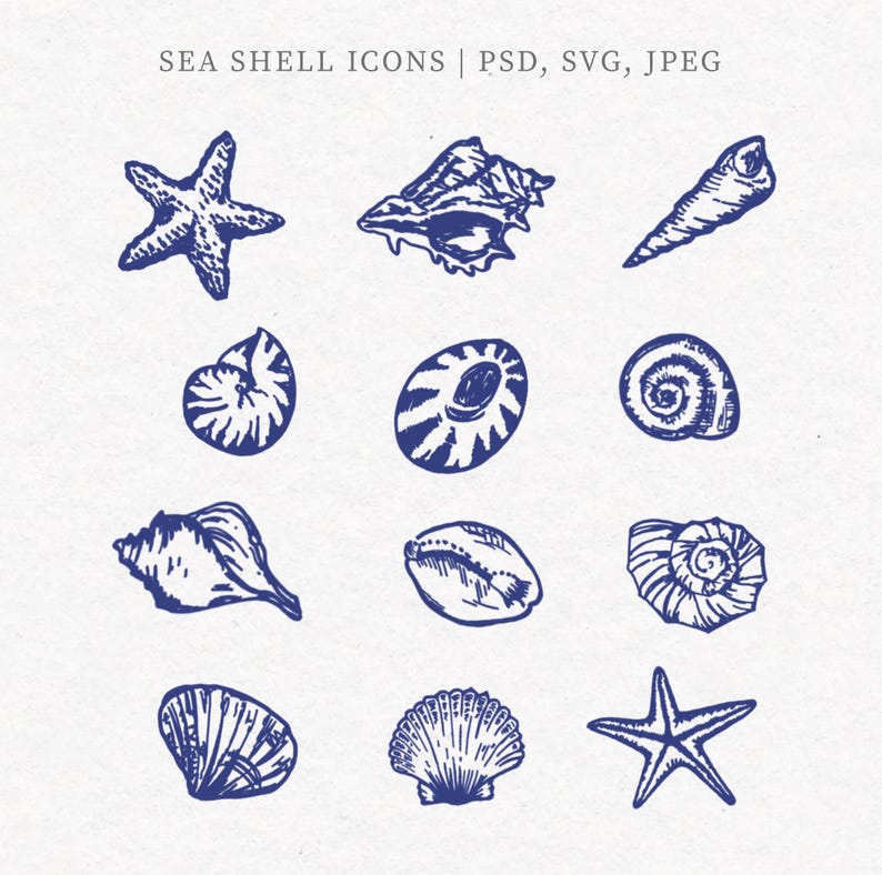 Shell Digital Line Drawing Shell Clipart, Sea Shells Digital Download, Illustration Bundle, Line ...