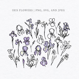 Może przedstawiać: Zbiór 20 ręcznie rysowanych ilustracji fioletowych i białych irysów. Kwiaty są narysowane w prostym, minimalistycznym stylu z czarnymi konturami.