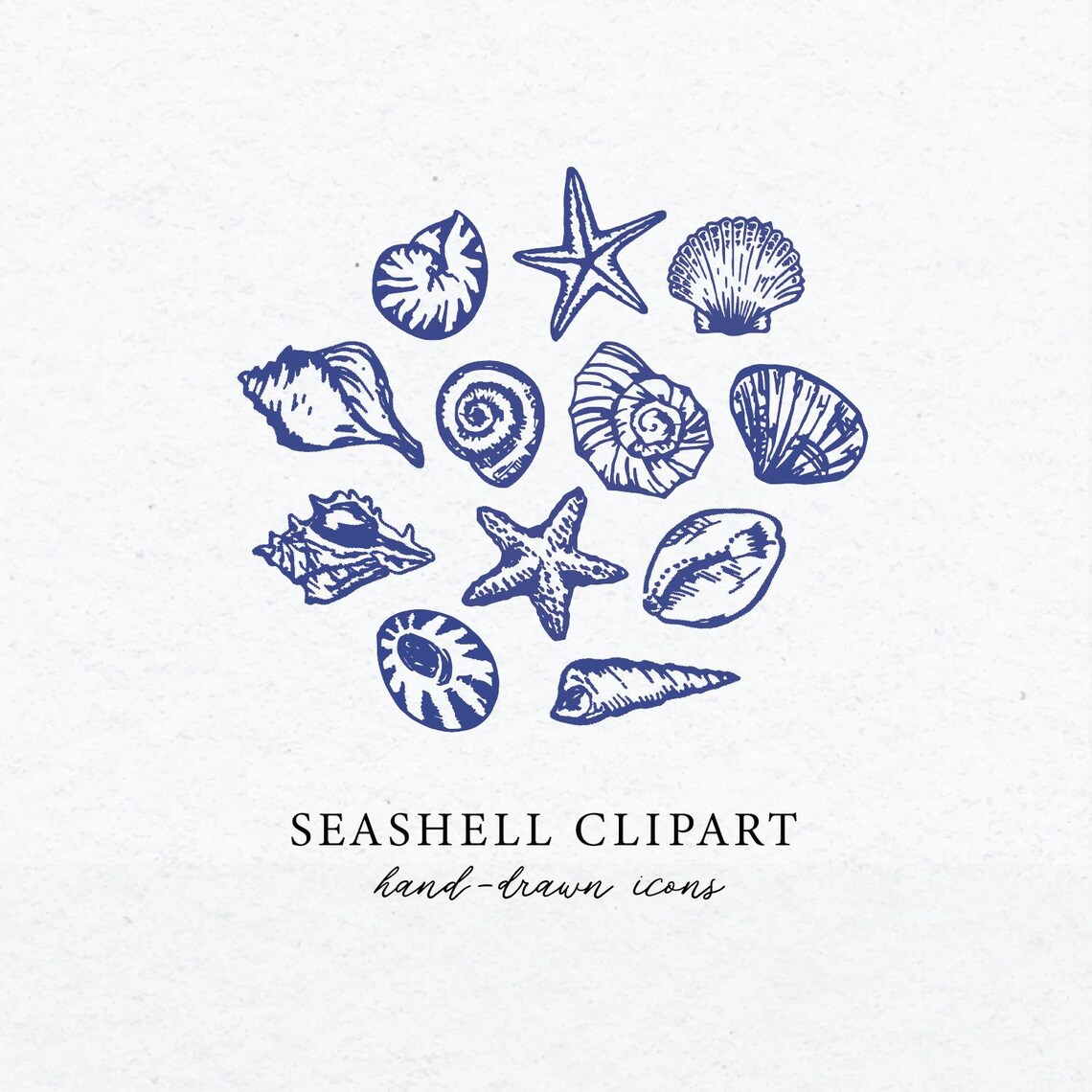 Shell Digital Line Drawing Shell Clipart, Sea Shells Digital Download, Illustration Bundle, Line ...