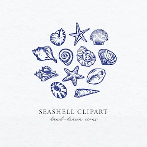 Clipart di conchiglie, download digitale di conchiglie, pacchetto di illustrazioni, clipart di spiaggia disegnata a linee, download istantaneo di arte