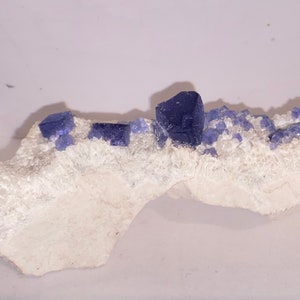 Könnte beinhalten: Ein natürliches Mineralpräparat mit tiefblauen Fluoritkristallen auf einer weißen Matrix. Die Fluoritkristalle sind kubisch und variieren in der Größe, was einen Kontrast zum weißen Hintergrund erzeugt.