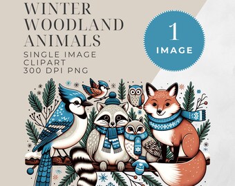 Winter Woodland Animal Clipart | SINGLE IMAGE | Cute Winter Baby Shower Png, Junk Journaling, Commercial Use, Digital Paper, Forest Clipart