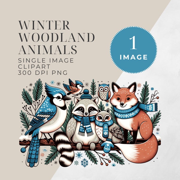 Winter Woodland Animal Clipart | SINGLE IMAGE | Cute Winter Baby Shower Png, Junk Journaling, Commercial Use, Digital Paper, Forest Clipart