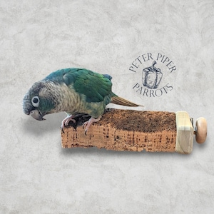 Natural Cork Bird Shelf/Flat Perch | Promote Foot Health and Mental Enrichment | Safe, Durable, Foraging Platform Perch