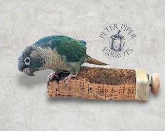 May include: A green-cheeked conure with green and grey feathers perched on a rectangular cork block. The block features a light-coloured wooden end cap with a small wooden knob. The text PETER PIPER PARROTS with a bell pepper icon is visible.