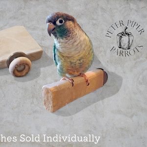 Flagstone Parrot Platform Perch | Natural Flagstone Bird Perch | Stainless Hardware