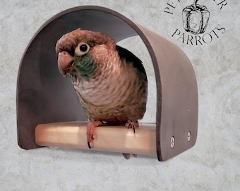 Birdy Bunker Parrot Perch | Seclusion and Secure | Hide and Seek Enrichment