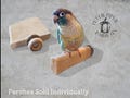 Flagstone Parrot Platform Perch | Natural Flagstone Bird Perch | Stainless Hardware