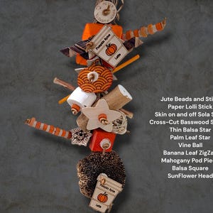 May include: A hanging bird toy featuring jute beads, a paper lolli stick, sola sticks, cross-cut basswood shapes, a balsa star, a palm leaf star, a vine ball, banana leaf zigzags, a mahogany pod, a balsa square, a sunflower head, and pumpkin spice tags.
