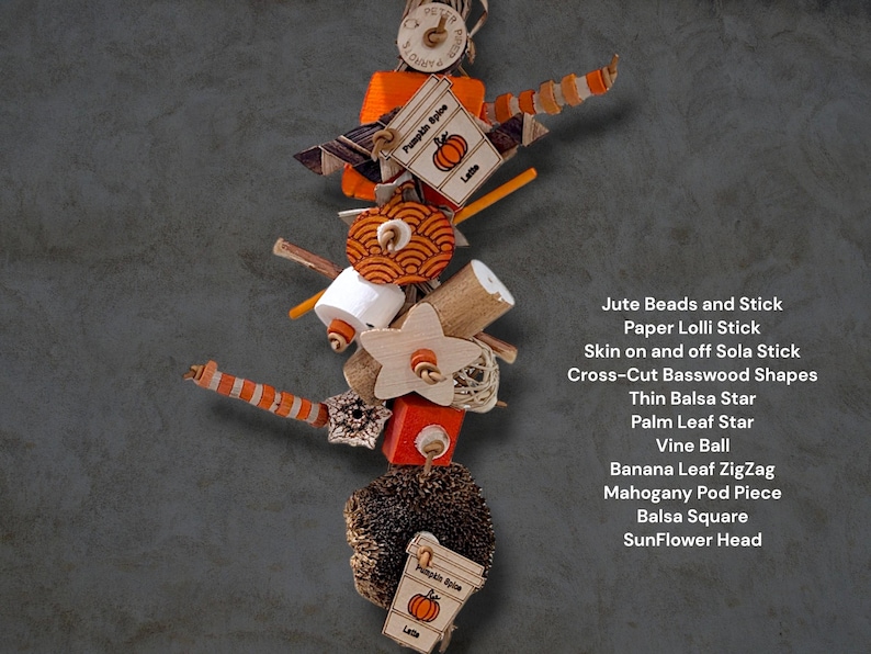 May include: A hanging bird toy featuring jute beads, a paper lolli stick, sola sticks, cross-cut basswood shapes, a balsa star, a palm leaf star, a vine ball, banana leaf zigzags, a mahogany pod, a balsa square, a sunflower head, and pumpkin spice tags.