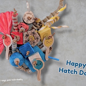 May include: A colourful bird toy featuring wooden blocks in red, blue, and yellow, alongside pink paper shred, a round tag labelled Peter Piper Parrots, and three wooden balloon cutouts with smiling faces. The text Happy Hatch Day is visible.
