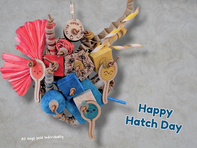 May include: A colourful bird toy featuring wooden blocks in red, blue, and yellow, alongside pink paper shred, a round tag labelled Peter Piper Parrots, and three wooden balloon cutouts with smiling faces. The text Happy Hatch Day is visible.