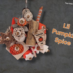 May include: A hanging bird toy featuring wooden shapes, including a star, a pumpkin, and a coffee cup cutout labelled Pumpkin Spice Latte. The toy incorporates orange, white, and natural wood tones with textured elements and a central log piece.
