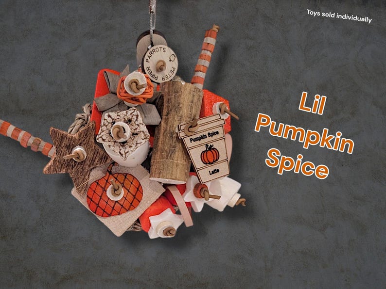 May include: A hanging bird toy featuring wooden shapes, including a star, a pumpkin, and a coffee cup cutout labelled Pumpkin Spice Latte. The toy incorporates orange, white, and natural wood tones with textured elements and a central log piece.