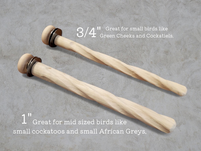 Twirl Perch | Natural Hardwood Parrot Perch | Promotes Foot Health and ...