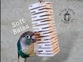 Balsa Slot Canyon Chipper | Natural Balsa Shredder | Safe Bird Foraging Toy