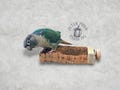 Natural Cork Bird Shelf/Flat Perch | Promote Foot Health and Mental Enrichment | Safe, Durable, Foraging Platform Perch