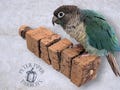 Refillable Cork Kabob Bird Perch | Promote Foraging and Mental Engagement | Natural, Safe, Durable, Foraging Perch