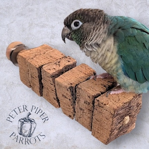 May include: A green-cheeked conure with teal and brown feathers perched on a bird toy made of four rectangular cork blocks strung together. The toy features a small wooden end cap and a logo reading Peter Piper Parrots with a pepper illustration.