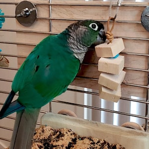 Chewer Parrot Toy | Natural Cork or Balsa Shredders | Safe Bird Foraging Toy image 2