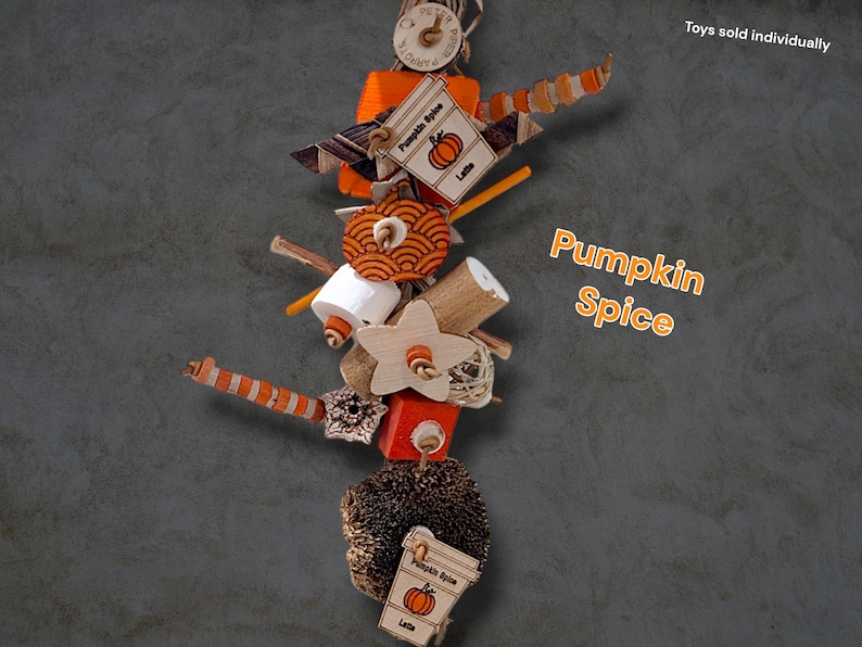 May include: A hanging bird toy featuring orange and natural wood components, including star-shaped pieces, cylindrical blocks, and textured brown elements. Two tags are attached, each printed with a pumpkin illustration and the text Pumpkin Spice Latte.