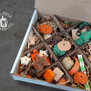 Pumpkin Patch Discovery Box | Fall Sampler | Welcome Home New Bird | Foraging Tray Sampler