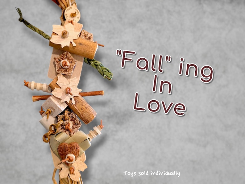 Seagrass Shredders Parrot Toy | Safe bird toy Fall ing in love