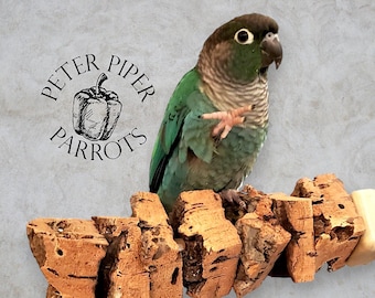 Refillable Cork Kabob Bird Perch | Promote Foraging and Mental Engagement | Natural, Safe, Durable, Foraging Perch