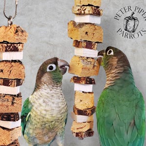 Skewer Chewer | Refillable Stainless Hanging Skewer | Hanging Parrot Toy | Natural Cork, Balsa, and Mahogany | Safe Bird Foraging Toy