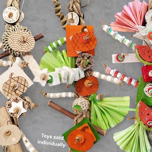 Seagrass Shredders Parrot Toy | Safe bird toy