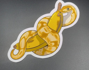 Bananenball Python | Aufkleber