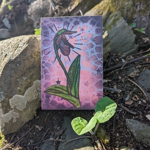 Originaler Kunstdruck auf Holz, rosa Frauenschuh, einheimische Pflanzenwanddekoration, Muttertagsgeschenk, botanisches Geschenk, Wildblumenkunst Bild 2
