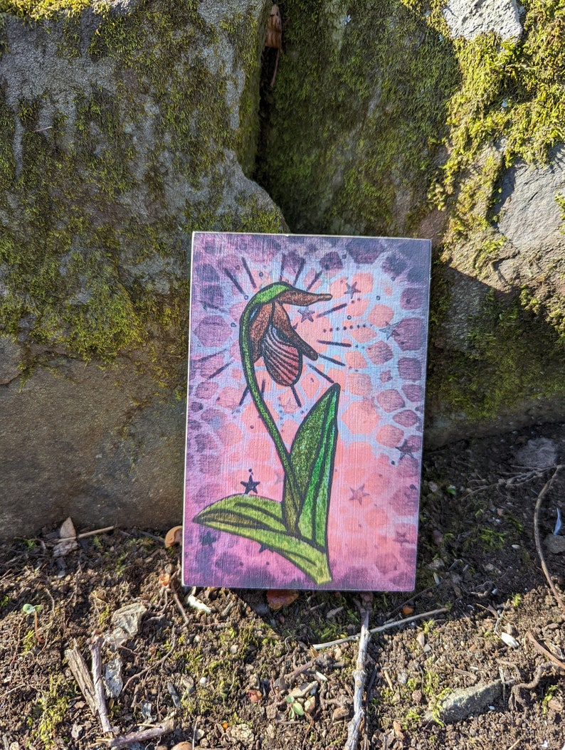 Originaler Kunstdruck auf Holz, rosa Frauenschuh, einheimische Pflanzenwanddekoration, Muttertagsgeschenk, botanisches Geschenk, Wildblumenkunst Bild 1