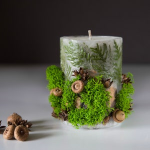 Enchanted Forest Scented Candle with Stabilized Moss