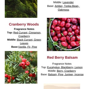 May include: Four different candle scents with images of the corresponding scents. Oakmoss and Amber features a green mossy background. Cranberry Woods features a bowl of red cranberries. Red Berry Balsam features a close-up of a yew tree with red berries. Mountain Mist features a foggy forest scene.