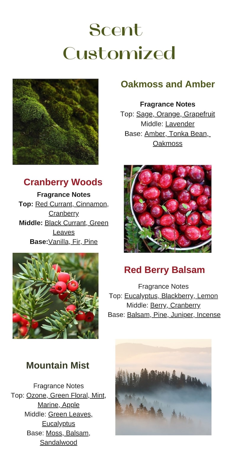 May include: Four different candle scents with images of the corresponding scents. Oakmoss and Amber features a green mossy background. Cranberry Woods features a bowl of red cranberries. Red Berry Balsam features a close-up of a yew tree with red berries. Mountain Mist features a foggy forest scene.