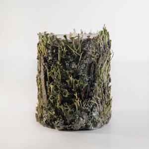 May include: A white candle with a green moss and bark design. The candle is shaped like a cylinder and has a rough texture.