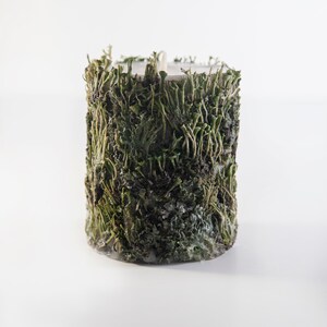 May include: A white candle with a green moss-like covering. The candle is cylindrical and has a rough texture.