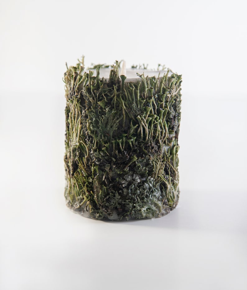 May include: A white candle with a green moss-like covering. The candle is cylindrical and has a rough texture.