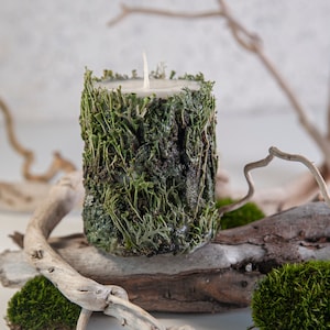 Vela con aroma a madera - Velas botánicas únicas - Vela con flores y hierbas - Decoración forestal - Goblincore