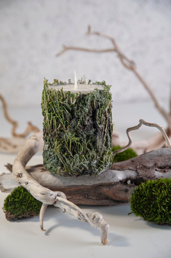 Wood Scented Candle - Botanical  Unique Candles - Flower Herbs Candle - Forest Decor - Goblincore