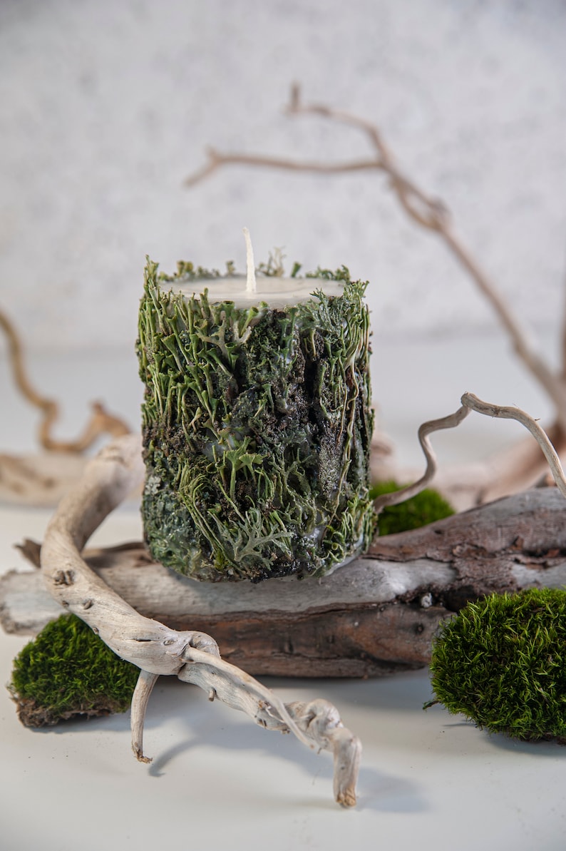 May include: A white candle with a green moss-covered base sits on a piece of driftwood with moss accents.