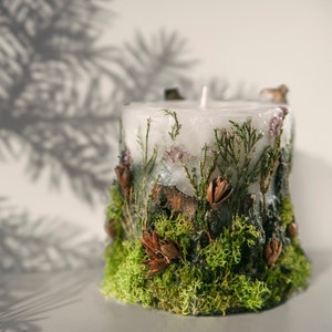 Wood scented candle, cool forest candle of soy wax decorated with stabilized moss,