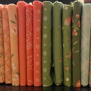 Abloom by Corey Yoder of Coriander Quilts for Moda. Bundle of 26 fat quarters.