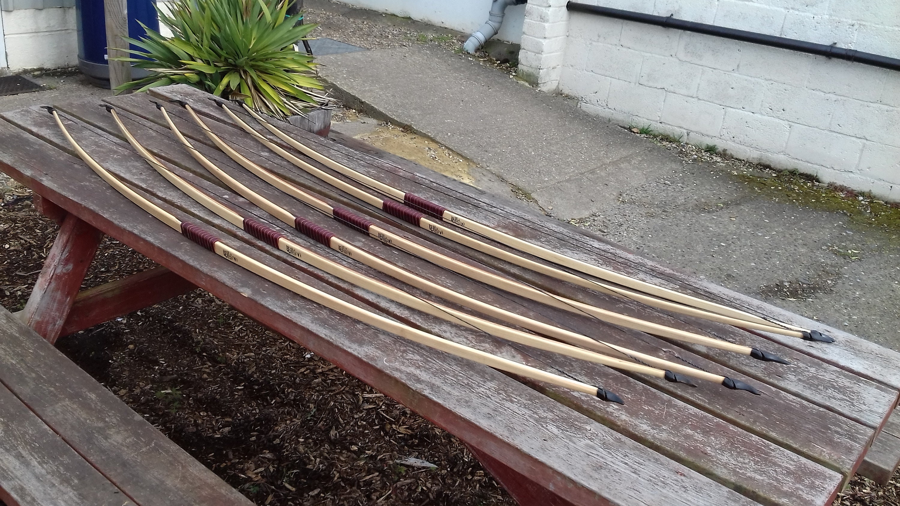 White wooden arrows for traditional and medieval archery. Linden