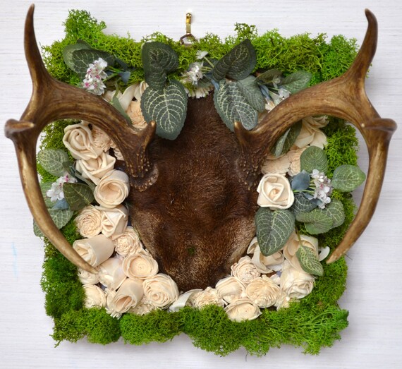 Budding Rebirth: Hand Crafted Natural Reclamation of 6-point Deer